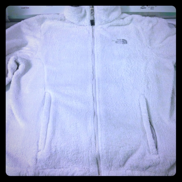 The North Face Jackets & Blazers - North face jacket