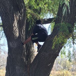 Meet your Posher, Paul