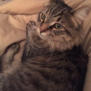 Meet your Posher, Danni