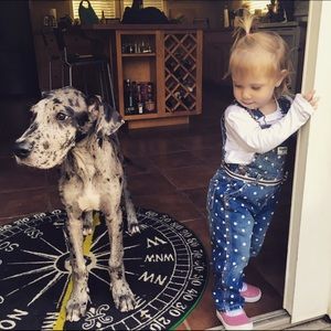 Meet your Posher, Marissa