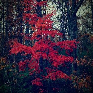 Meet your Posher, Marcia