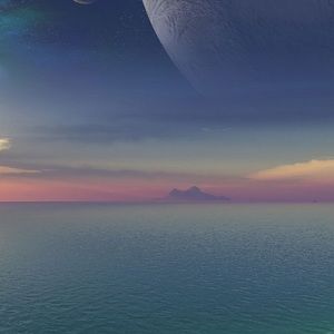 Meet your Posher, Tyson