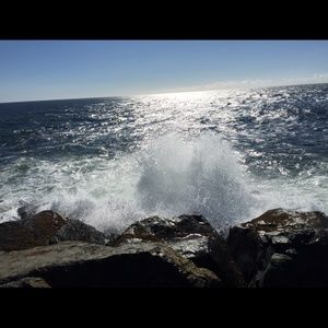 Meet your Posher, Anita