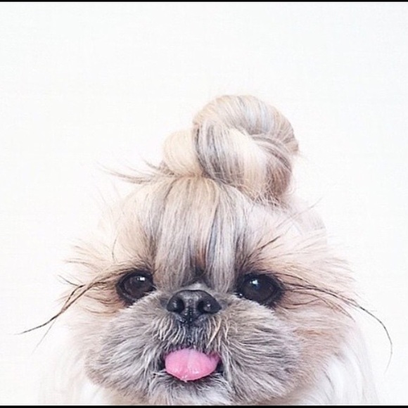 Meet your Posher, Michele