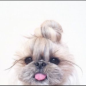 Meet your Posher, Michele