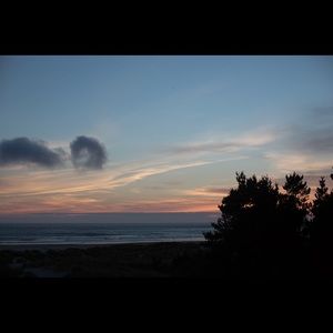 Meet your Posher, Molly