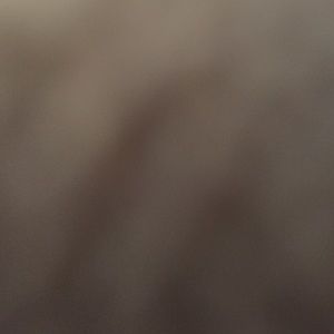 Meet your Posher, Kyla