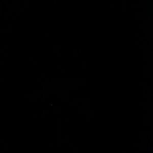 Meet your Posher, Cierra