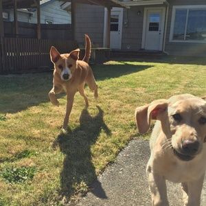 Meet your Posher, Beka