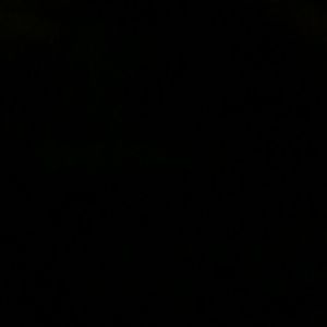 Meet your Posher, Leigh ann