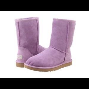 SALE 🎁🎉🎉UGGS lavender/gray color.