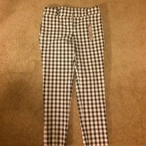 Loft gingham pant