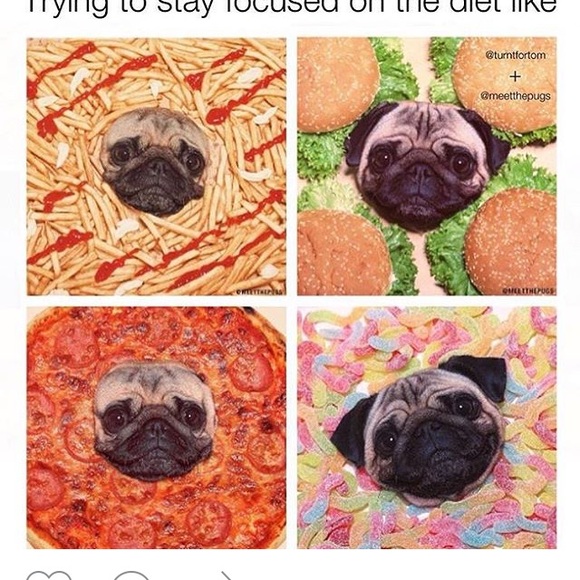 Meet your Posher, Jaime - Picture 1 of 1