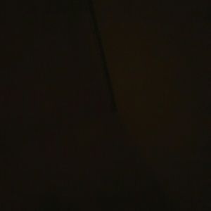 Meet your Posher, Sunny