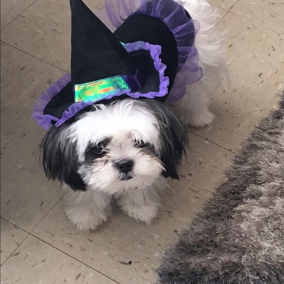 Meet your Posher, Rita