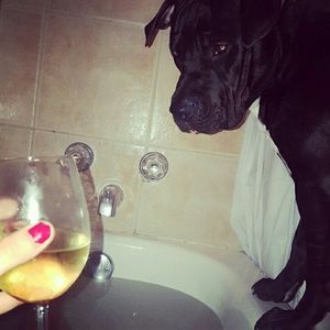 Meet your Posher, Bailey