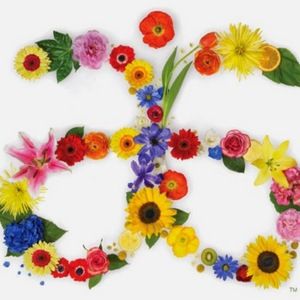 Meet your Posher, Teresa