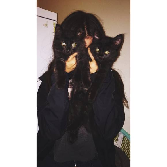 Meet your Posher, Emma - Picture 1 of 1