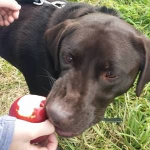 Meet your Posher, Christine