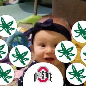 Meet your Posher, Elaine