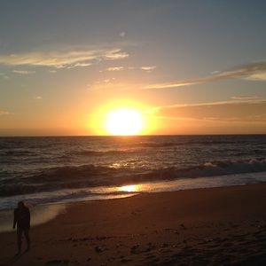 Meet your Posher, Maggie