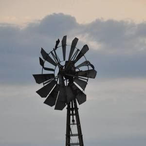 Meet your Posher, Marialice