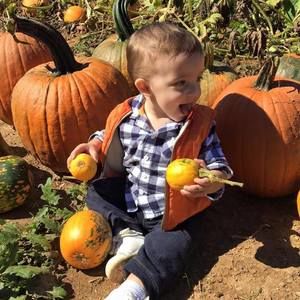 Meet your Posher, Shannon