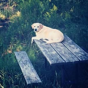 Meet your Posher, Beth