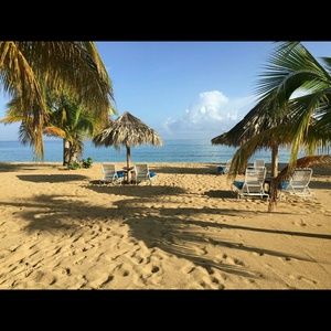 Meet your Posher, Sherry