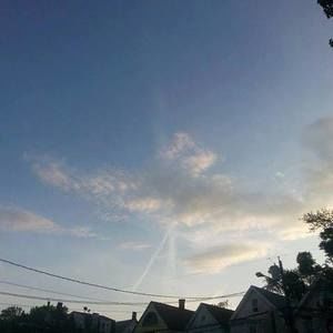 Meet your Posher, Liz