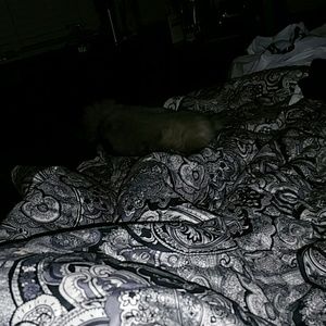 Meet your Posher, Jennifer