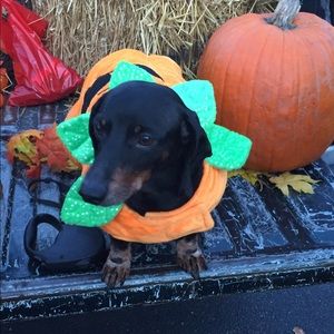 Meet your Posher, Nadine