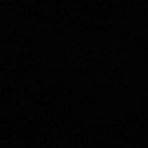 Meet your Posher, Freda