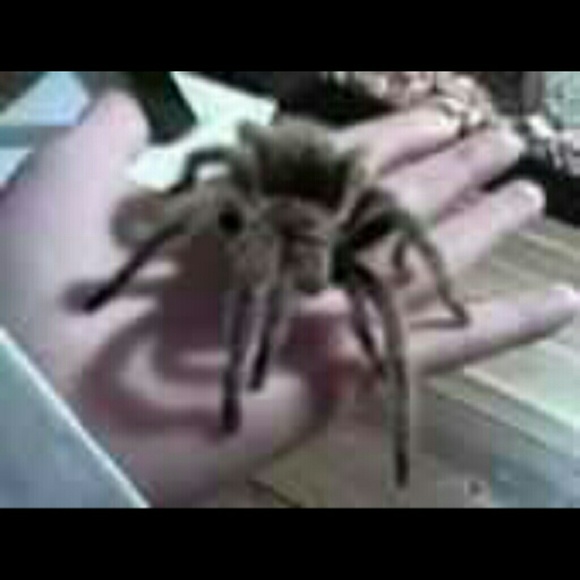 Meet Your Posher - Picture 3 of 4