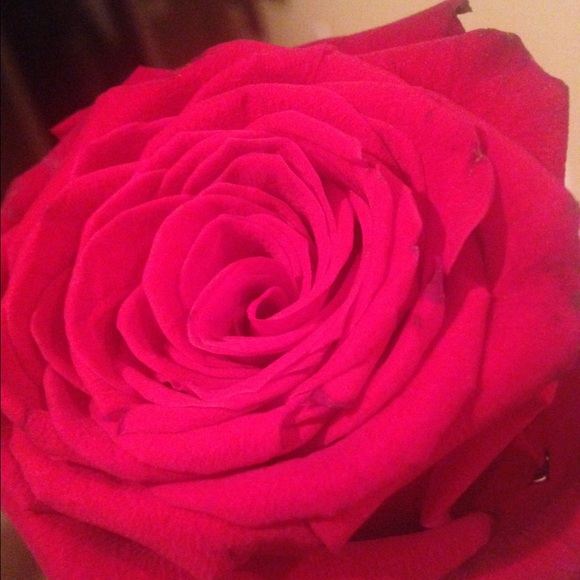 Meet your Posher, Nina - Picture 1 of 1