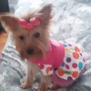 Meet your Posher, Re re