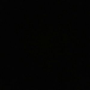 Meet your Posher, Joy