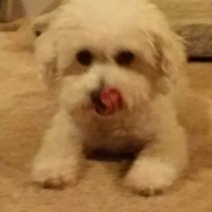 Meet your Posher, Kathi