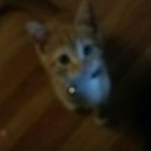 Meet your Posher, Rebecca