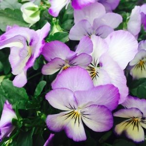 Meet your Posher, Nichole