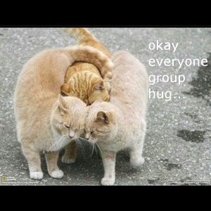 Meet your Posher, Dawn