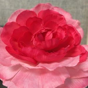 Meet your Posher, Kami