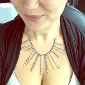 Beautiful BCBG necklace!