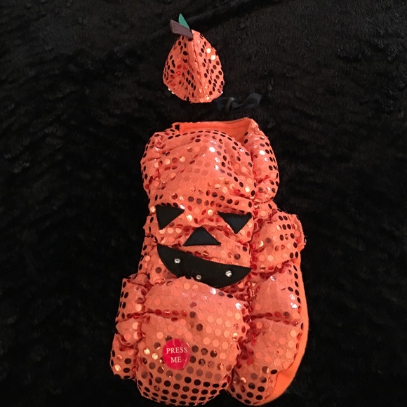 Pumpkin dog costume that lights up