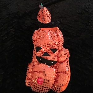 Pumpkin dog costume that lights up