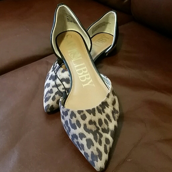 Cheetah Flats