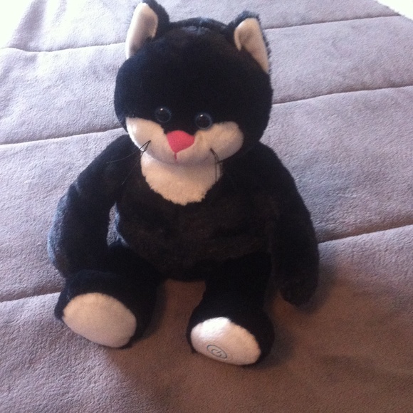 Black vibrating cat😺
