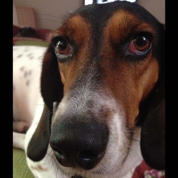 Hi! I'm Jackie! - Picture 2 of 4