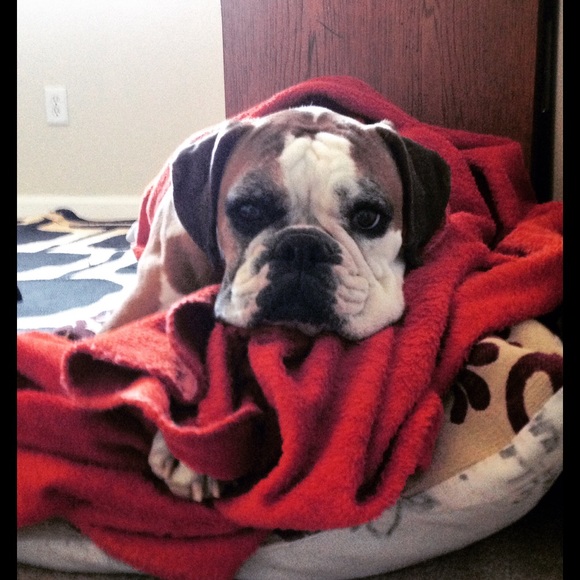 Hi! I'm Jackie! - Picture 3 of 4