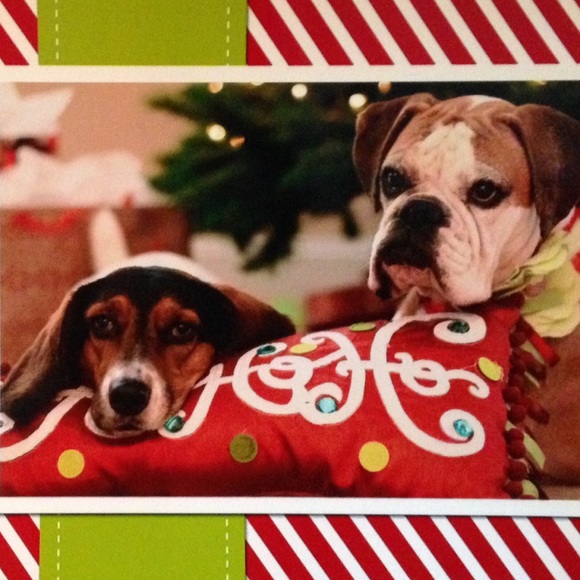 Hi! I'm Jackie! - Picture 4 of 4